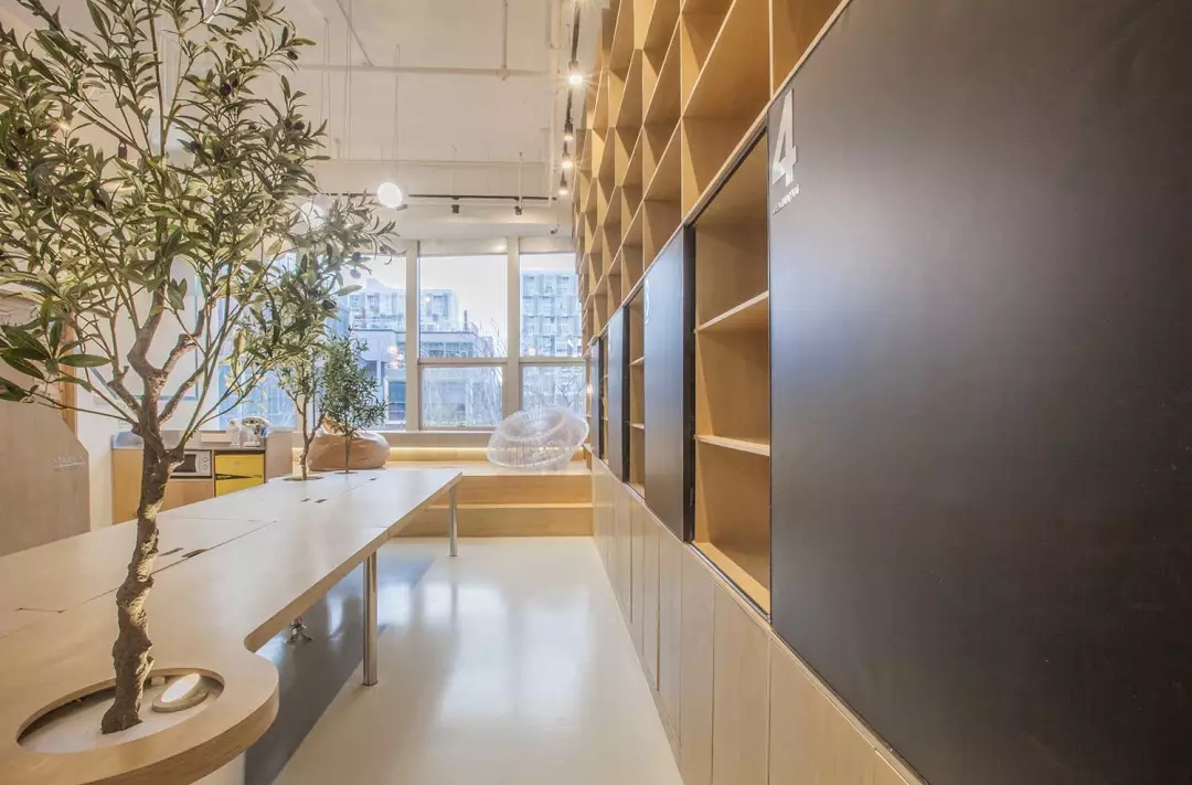 牛在墻上飛，猴子樹梢醉；這是在動物園辦公嗎？